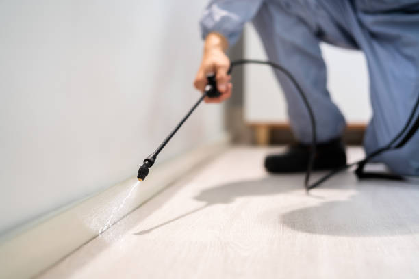 Bed Bug Pre-Treatment Preparation Assessment in Tornillo
