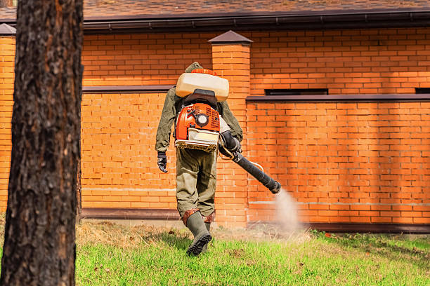 Bed Bug Clearance Verification and Documentation in Tornillo